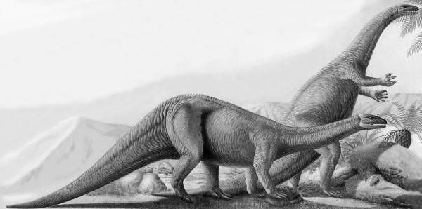 Николай Клягин - Современная научная картина мира