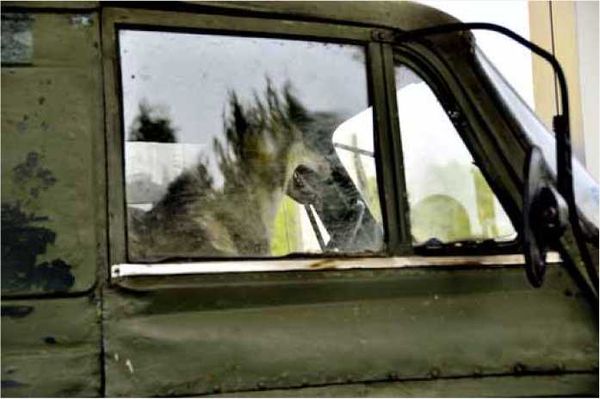 Олег Ермаков - Покинутые или Безумцы