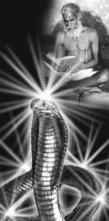 Эрнст Мулдашев - Матрица жизни на Земле