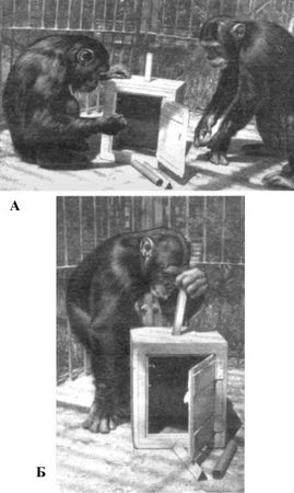 З. Зорина, А. Смирнова - О чем рассказали "говорящие" обезьяны:...