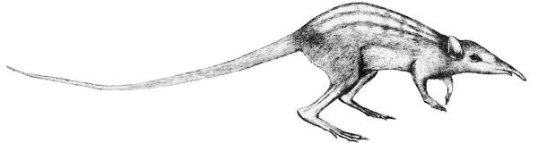 Николай Клягин - Современная научная картина мира