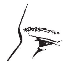 Наоми Тикл - Лицо - зеркало души. Физиогномика для всех