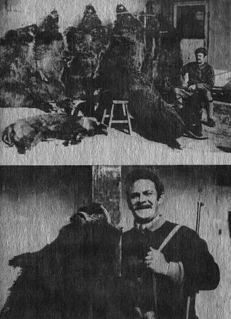 Юрий Янковский - Полвека охоты на тигров