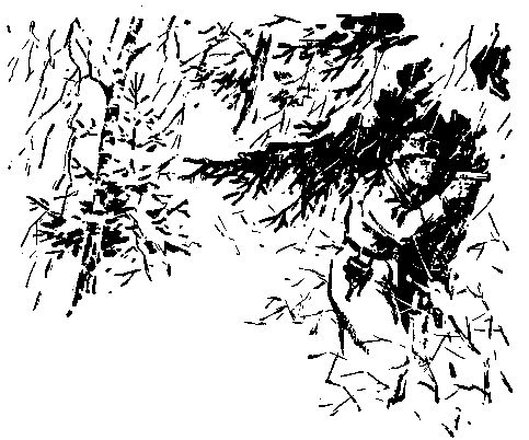 Павел Федоров - Встречный ветер. Повести