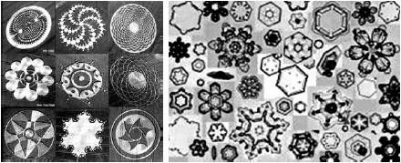 Михаил Кутушов - Зеркальные болезни. Рак, диабет, шизофрения, аллергия