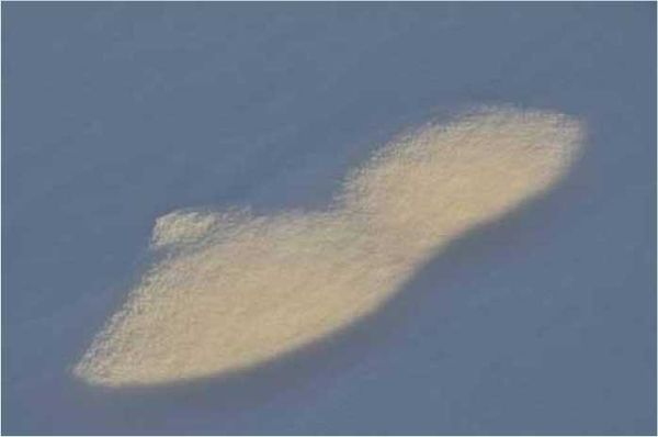 Олег Ермаков - Покинутые или Безумцы