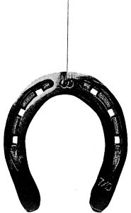 Бренна Йованофф - Подмена