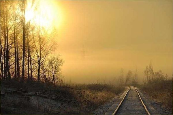 Олег Ермаков - Покинутые или Безумцы