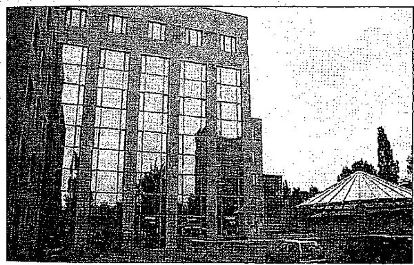 Клаус Вернер, Ганс Вайс - Черная книга корпораций