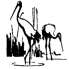 Глеб Голубев - Следствие сквозь века