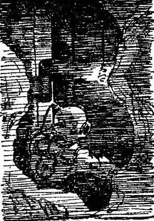 Константин Бадигин - Три зимовки во льдах Арктики