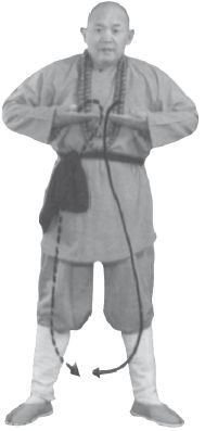 Ши Децянь, Алексей Маслов - Гимнастика Бодхидхармы