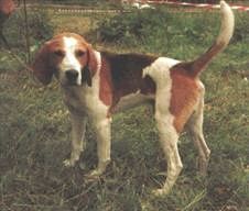 Сергей Алексеев - Ох, охота!