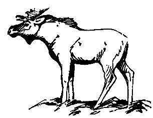 Сергей Кондратьев - Необычные случаи на охоте и рыбной ловле