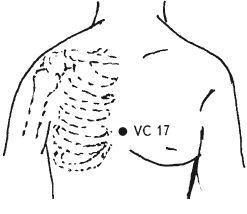 Ши Децянь, Алексей Маслов - Гимнастика Бодхидхармы