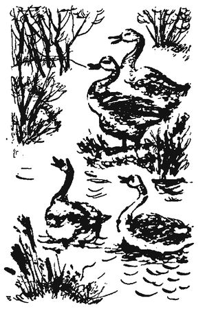 Александр Линевский - Листы каменной книги