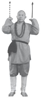 Ши Децянь, Алексей Маслов - Гимнастика Бодхидхармы