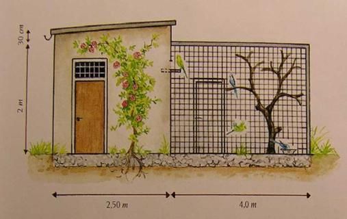 Хорст Бильфельд - Волнистые попугаи
