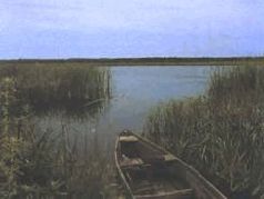 Сергей Алексеев - Ох, охота!