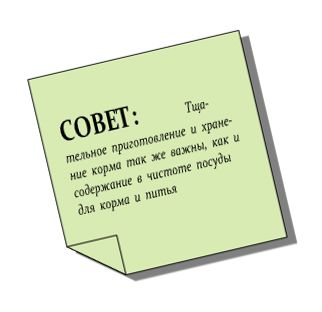 Хорст Бильфельд - Волнистые попугаи