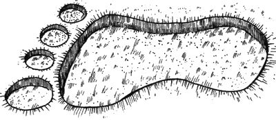 Вальтер Моэрс - 13 1/2 жизней капитана по имени Синий Медведь