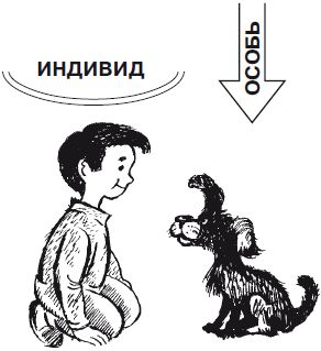 Евгений Рогов - Психология человека