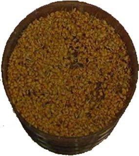 Хорст Бильфельд - Волнистые попугаи