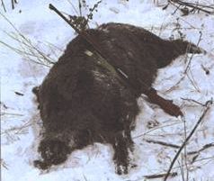 Сергей Алексеев - Ох, охота!