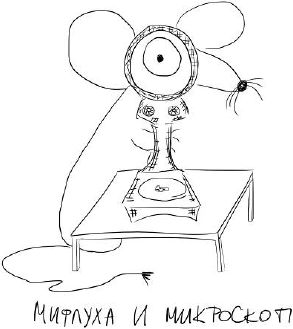 Антон Буслов - Президентская азбука