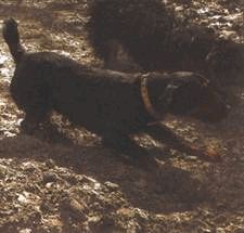 Сергей Алексеев - Ох, охота!