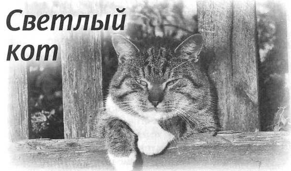 Алексей Лисняк - "Сашина философия" и другие рассказы