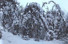 Сергей Алексеев - Ох, охота!