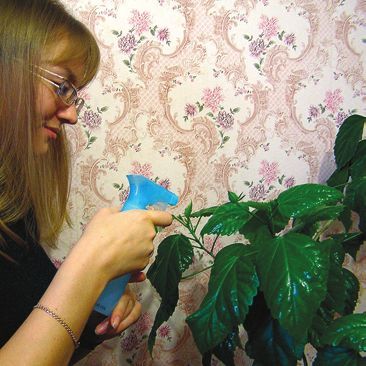 Татьяна Дорошенко - Декоративноцветущие растения