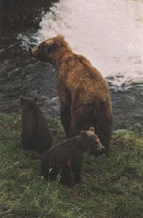 Сергей Алексеев - Ох, охота!