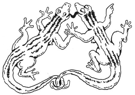 Милена Сигаева - Странности животной сексуальности. Как они делают это...?