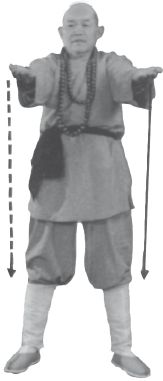 Ши Децянь, Алексей Маслов - Гимнастика Бодхидхармы