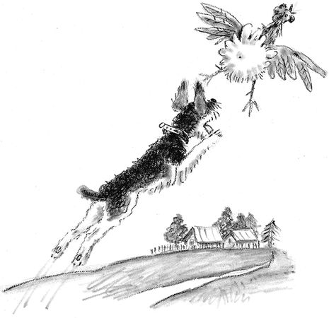 Наталья Нусинова - Приключения Джерика