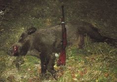 Сергей Алексеев - Ох, охота!