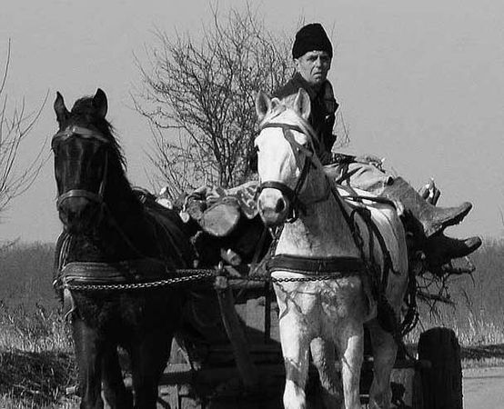 Коллектив авторов, Святослав Григ и др. - Восстание меньшинств