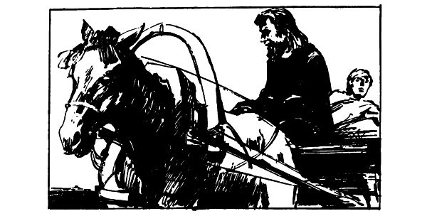 Пётр Дедов - Сказание о Майке Парусе