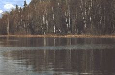 Сергей Алексеев - Ох, охота!