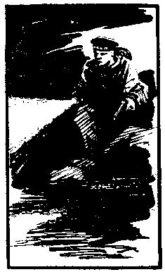 Иван Удалов - Операция "Шторм"