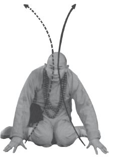 Ши Децянь, Алексей Маслов - Гимнастика Бодхидхармы