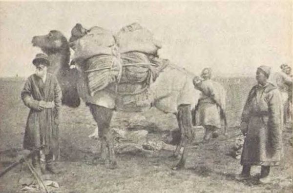 Сергей Дмитриев - В заоблачной стране