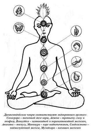 Александр Белов - Тайная родословная человека. Загадка превращения людей в животных