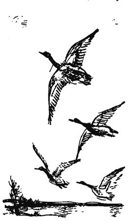 Александр Линевский - Листы каменной книги