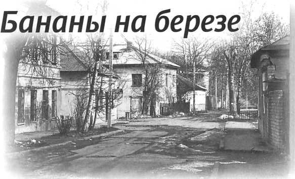 Алексей Лисняк - "Сашина философия" и другие рассказы