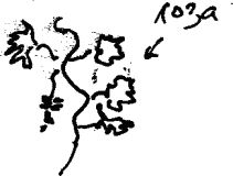 Александр Покровский - Арабески