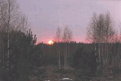 Сергей Алексеев - Ох, охота!