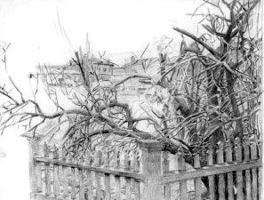 Н. Киселева - Изобразительное искусство Алтайского края. История,...